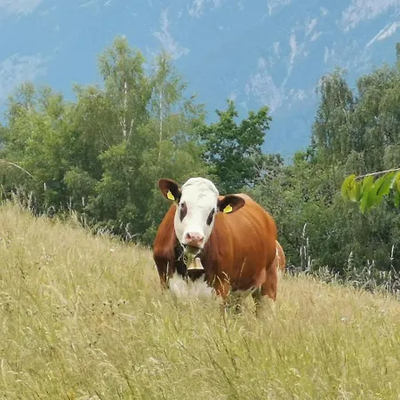 Farm stay Lamplhof *