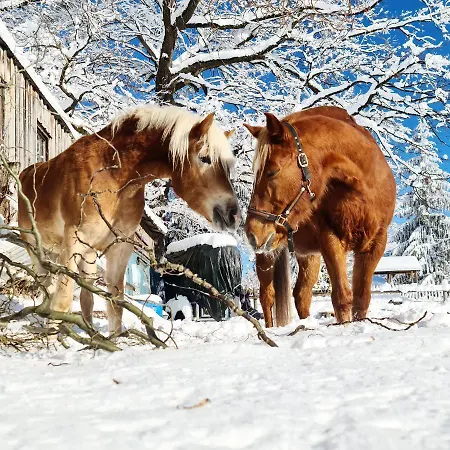 Vakantieboerderij Lamplhof Wiesing