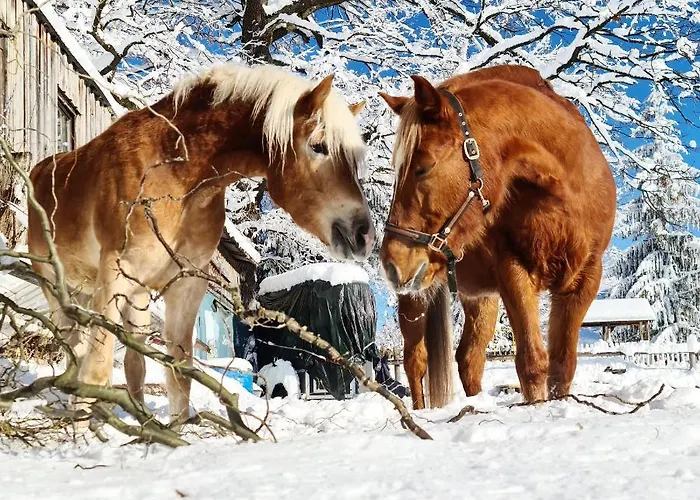 Farmház Lamplhof Wiesing